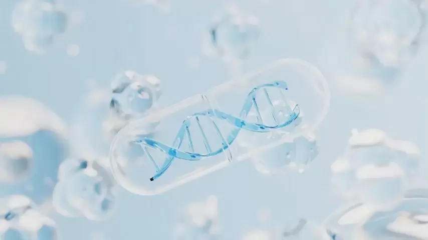 Gelişmiş Ar-Ge: EnduraClear ve DNA Guard Teknolojisi